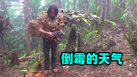 原始丛林人苏门答腊 第二季 热带雨林野外求生记录，遇上倒霉的阴雨天气，损失很多