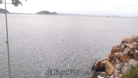 南澳岛赶海日记 彪哥又去钓鱼了，这次换了秘制鱼饵，果然能钓到大货