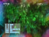 英雄出少年 《英雄出少年》 20160214
