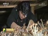 生财有道 《生财有道》 20180508 产业脱贫有新路