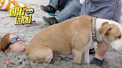 欢乐囧图 作死!怎样在沙滩羞辱妹子