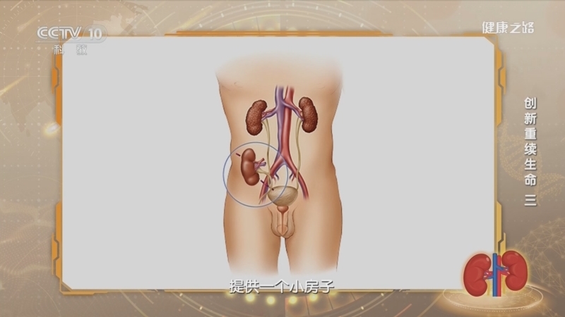 健康之路 《健康之路》 20230612 创新重续生命（三）
