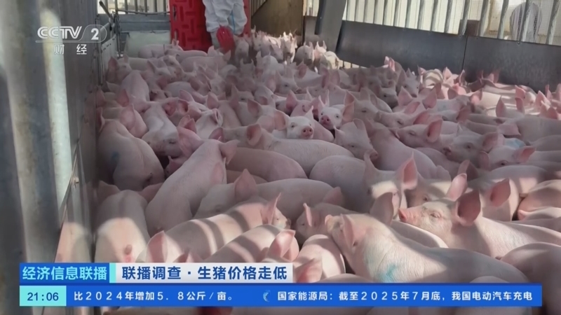 经济信息联播 《经济信息联播》 20250822