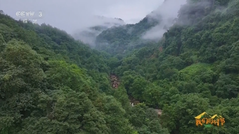 《我们的村节》 20260221