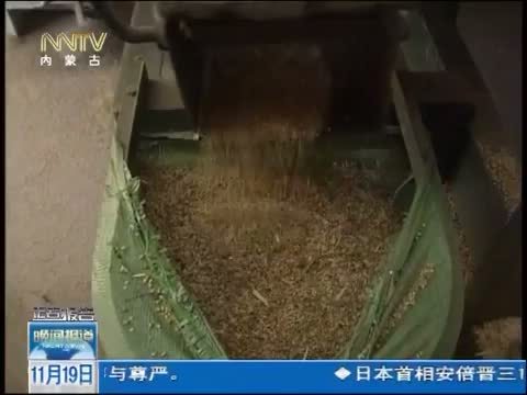 晚间报道 《晚间报道-内蒙古》 20141119