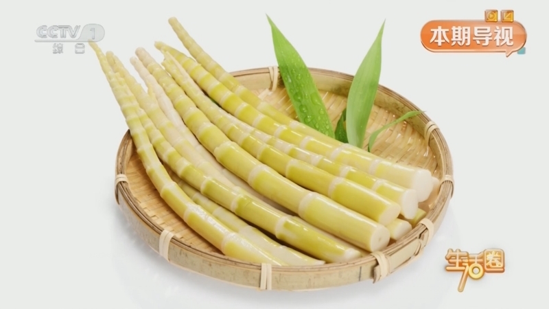 生活圈 《生活圈》 20250410