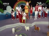 小小智慧树 《小小智慧树》 20180320