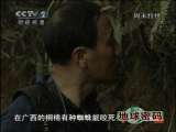 地球密码（周末精编节目） 周末精编节目 2010-08-21 2010-08-21
