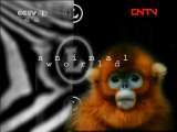 动物世界 《动物世界》 20110810