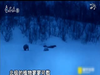 名师公开课 《有趣的生物进化（六上“生物的多样性”）》授课教师：翁乐