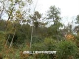 地理中国 《地理中国》 20160331 仙湖丽影（下）