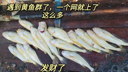 南澳岛赶海日记 广东小伙出海遇到黄金鱼群，价值可比金价，像在海里捞金条一样