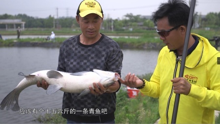 猎青 猎青第七期，南京森宁翠谷搏大物