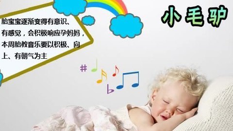 胎教音乐 第22周 小毛驴