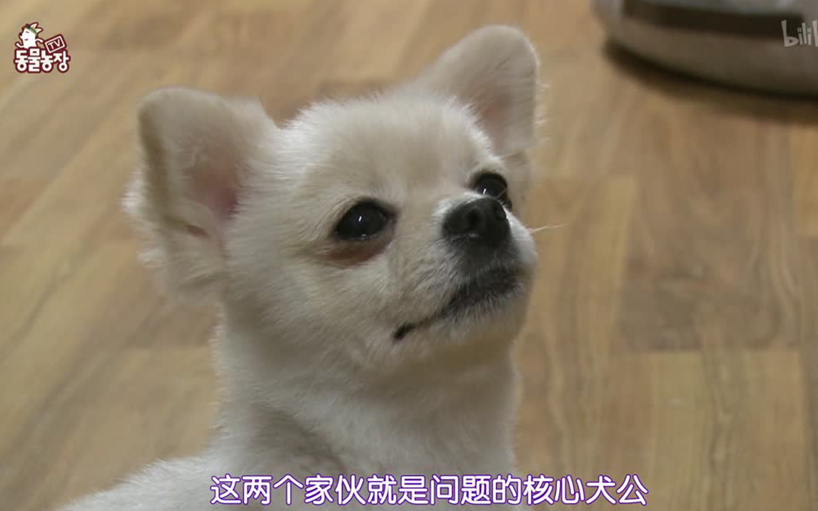 两个斗士的秘密