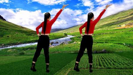 最新广场舞，弹跳32步《大哥谢谢你》背面演示