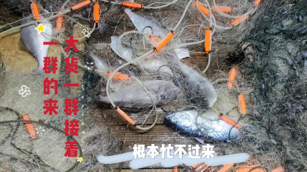 南澳岛赶海日记 这次外海捕鱼由网友花3500元承包，居然大货一群接着一群的来，差点忙不过来