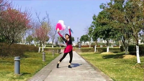 广场舞 广场舞《绣红旗》