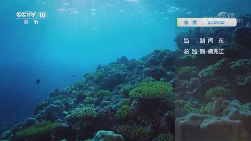 自然传奇 《自然传奇》 20200630 海洋的一天