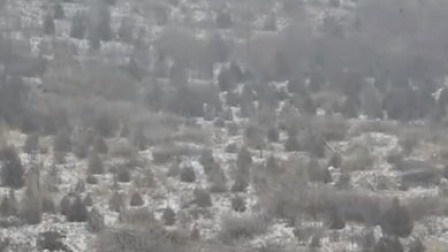 第一时间 大范围降雪“派送”中 北方多地迎今冬初雪