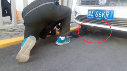 流浪狗被卡车底凄惨哀嚎 众人联手推车救助