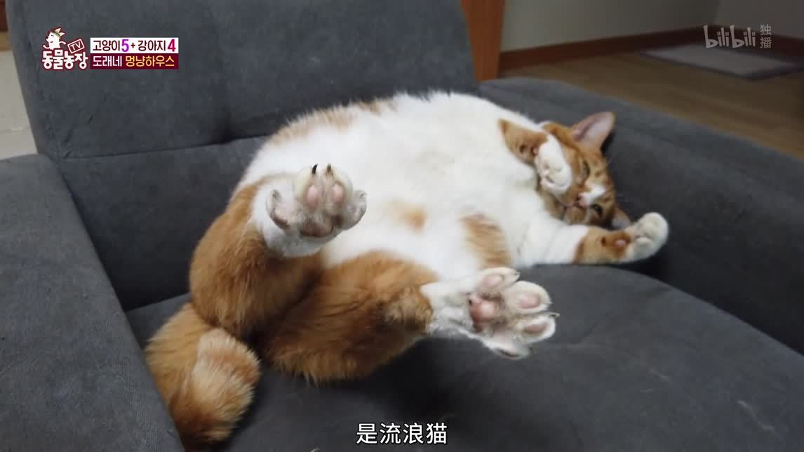 前往未知世界探险