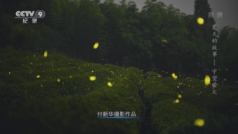 《夏天的故事》 第6集 守望萤火