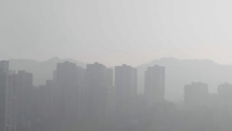 DV现场20210309