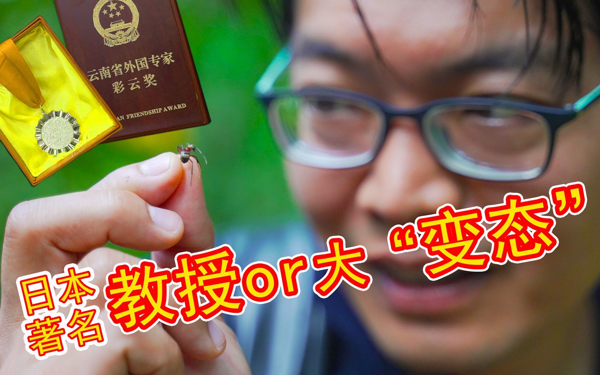 我住在这里的理由 第二季 住在西双版纳的日本“变态”教授，如何靠虫子登上《Science》杂志