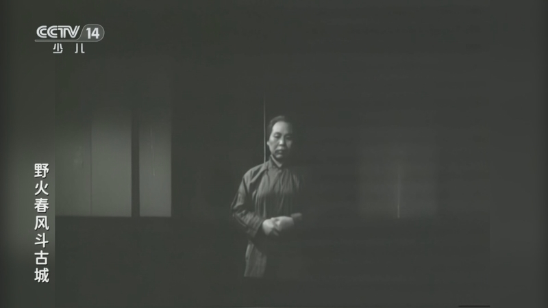 《动画大放映》 20260328 23:28