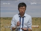 生财有道 [生财有道]高原上长出奇异黑果(20121031)