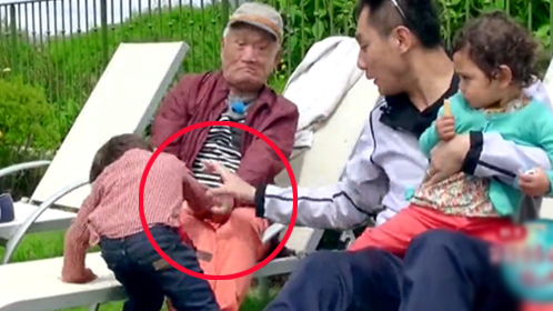 花样爷爷 刘烨儿子痛打爷爷惊呆众人