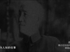 蒋介石和他的高官们 蒋介石和他的高官们：韩练成（上）