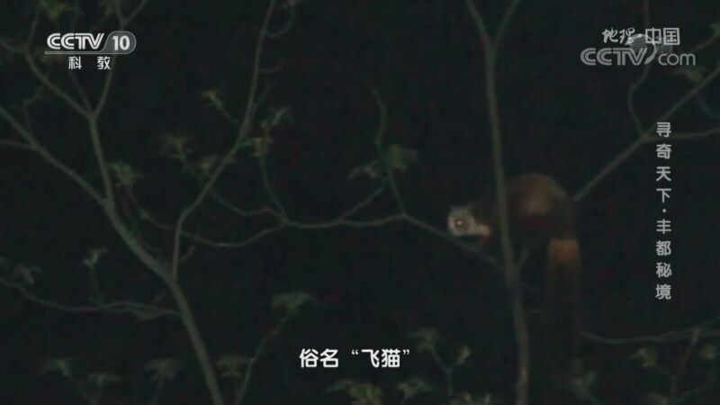 地理中国 《地理·中国》 20201011 寻奇天下·丰都秘境