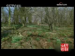 民歌&middot;中国 花儿的家乡