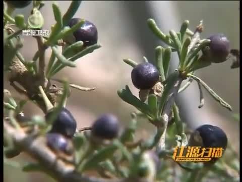 江源扫描 《江源扫描》 20151004 保护生态环境 成就产业梦想