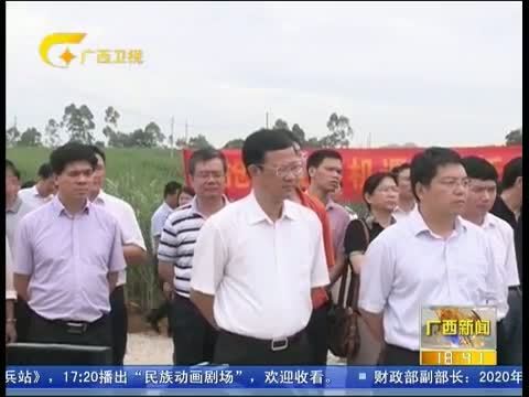 广西新闻 《广西新闻》 20150726