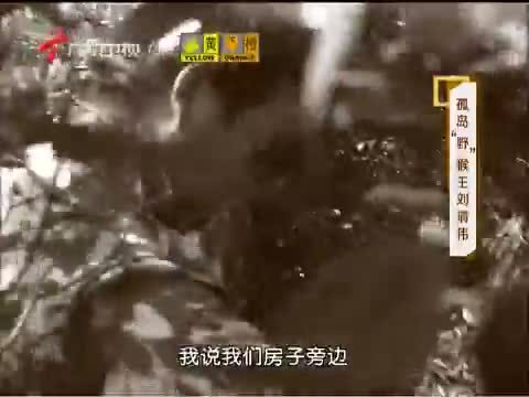 凡人大爱 《凡人大爱》 20131223 孤岛“野”猴王——刘清伟