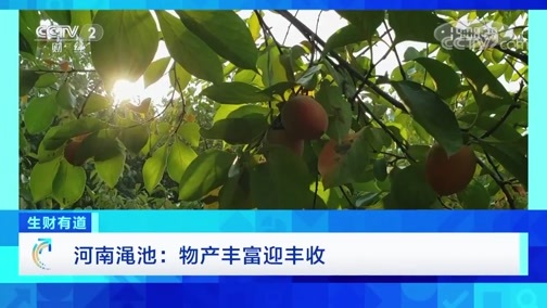 生财有道 《生财有道》 20191101 咱们家乡有特产 河南渑池：物产丰富迎丰收