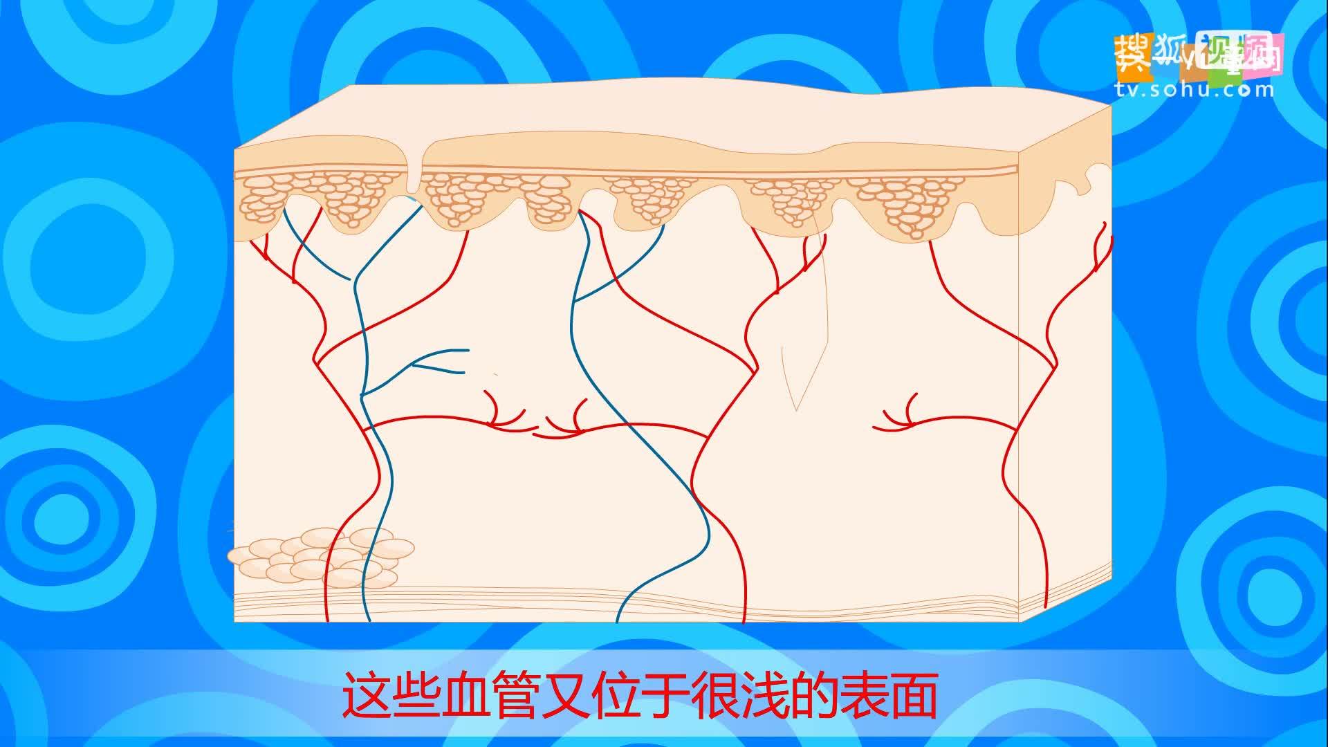 嘟拉十万个为什么 为什么有的人鼻子容易出血？