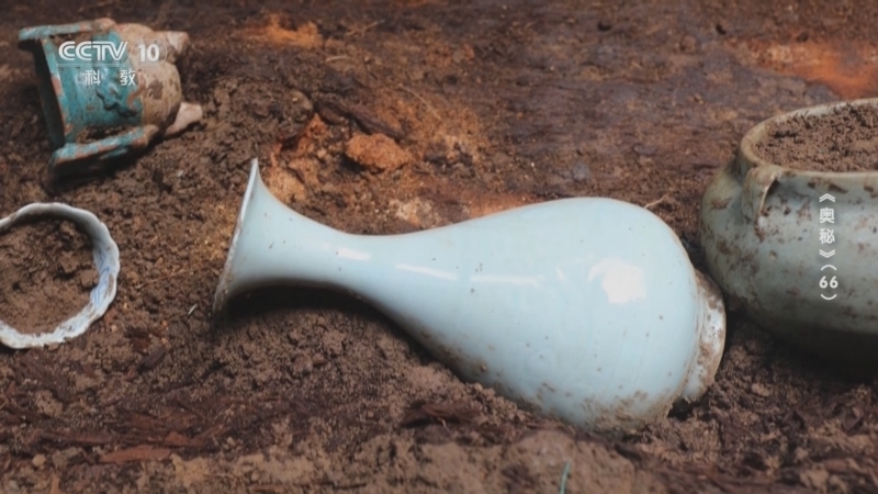 《探索·发现》 20251202 奥秘（66）