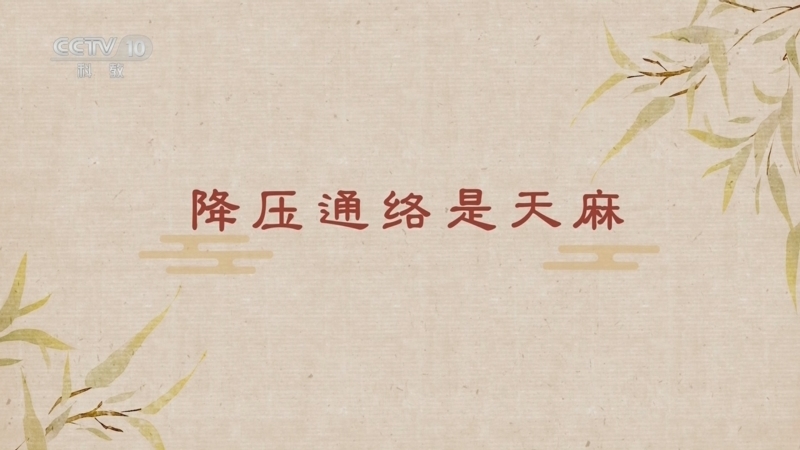 百家讲坛 《百家讲坛》 20250514 舌尖上的养生（第二部） 10 降压通络是天麻