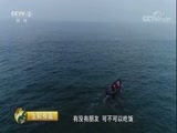 生财有道 《生财有道》 20170822 生态中国系列（沿海行）——生态海岛渔家财 财自“游”中来