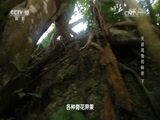 地理中国 《地理中国》 20160917 天涯海角的秘密 下