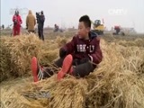 芝麻开门【央视】 《芝麻开门》 20160213 冬游记 盘锦亲子行（下）