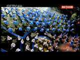 风华国乐 风华国乐 2010年 第206期