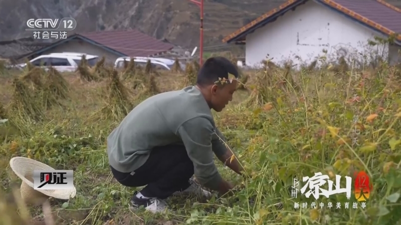 见证 《见证》 20240114 凉山十二天（4）