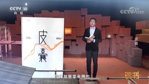 读书 《读书》 20190104 蔡崇达 《皮囊》 皮囊
