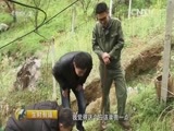 生财有道 《生财有道》 20160526 广西融安：生态迎客 财自来