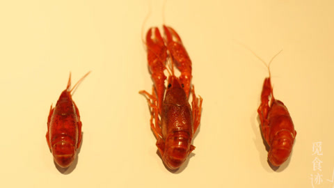 觅食迹 上海寿宁路小龙虾大测评